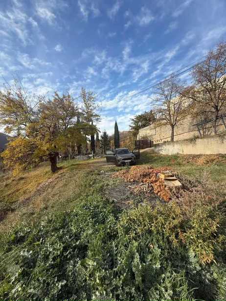https://static.ss.ge/20260330/4_e160c343-434b-4246-b09d-1af1835ab743_Thumb.jpg