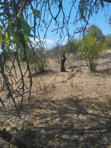 Land For Sale. Ninotsminda