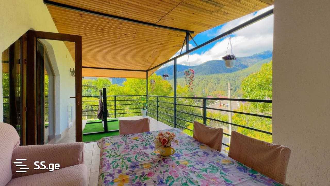 2 Room Flat Daily Rent. Borjomi view 2