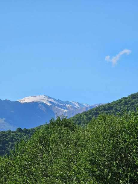 Land For Sale. Kvareli