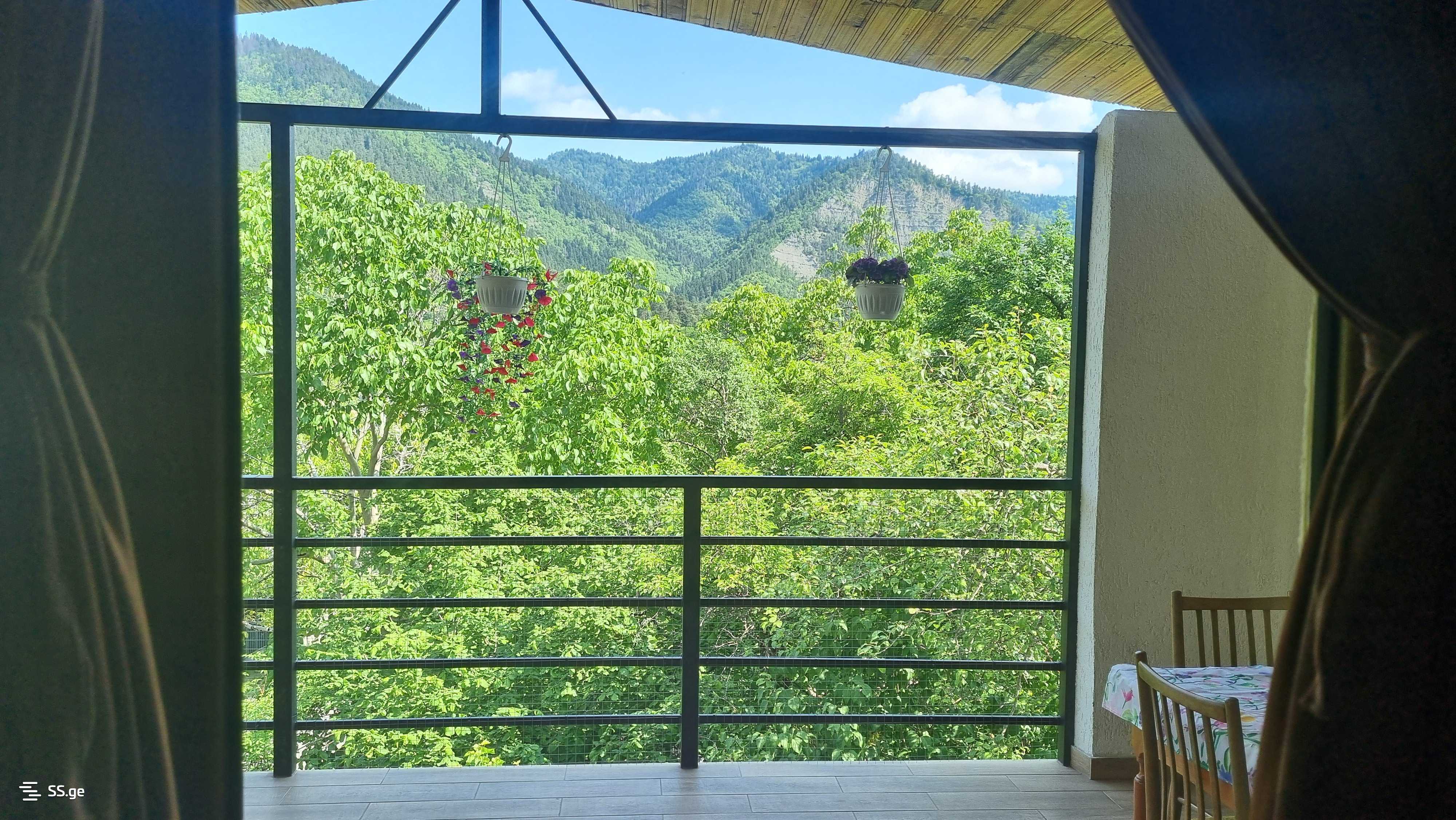 2 Room Flat Daily Rent. Borjomi view 12