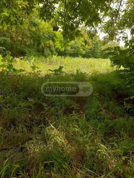 Land For Sale. Kvareli