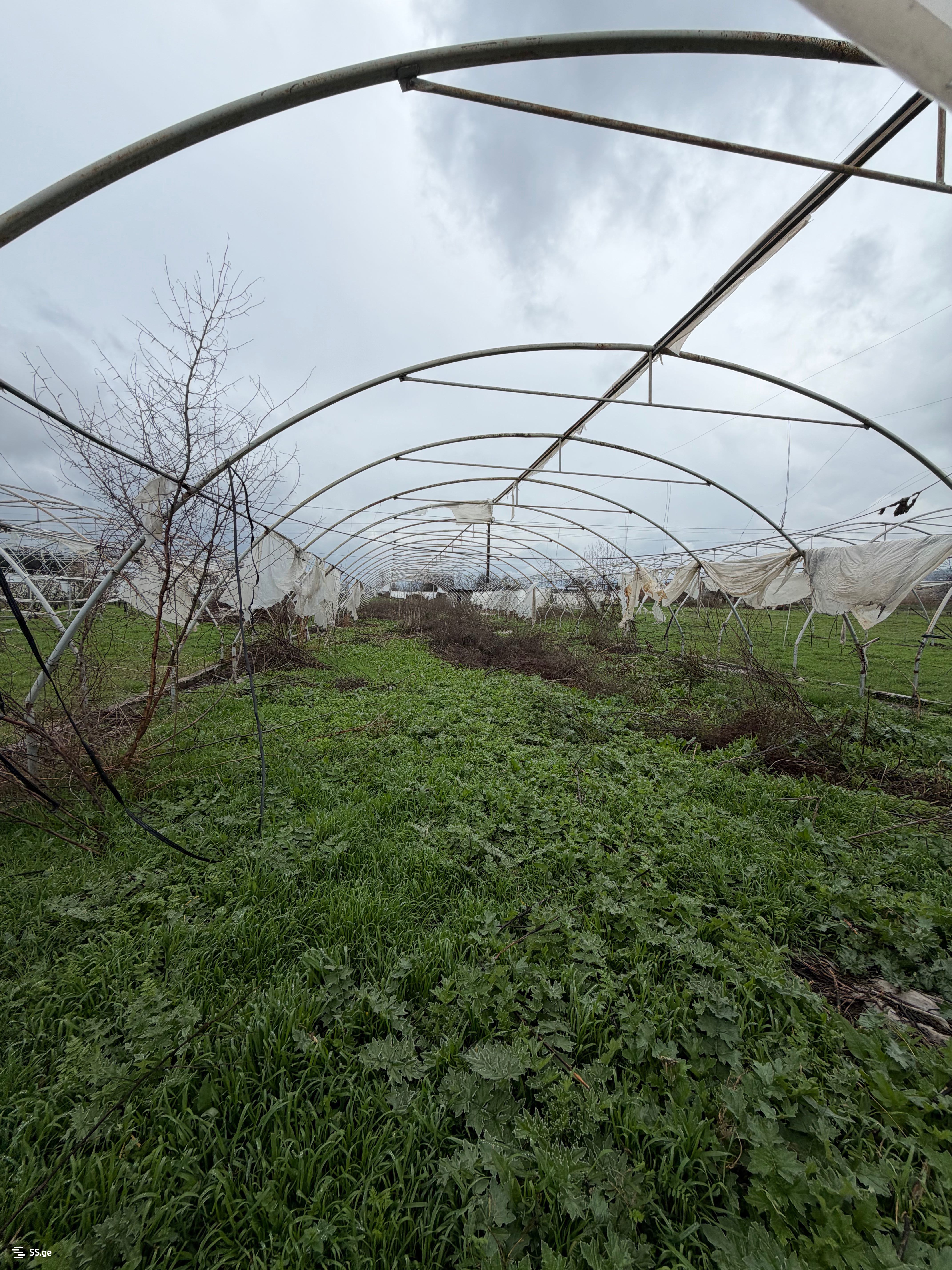 Продажа Земля / участок в Marneulshi view 30