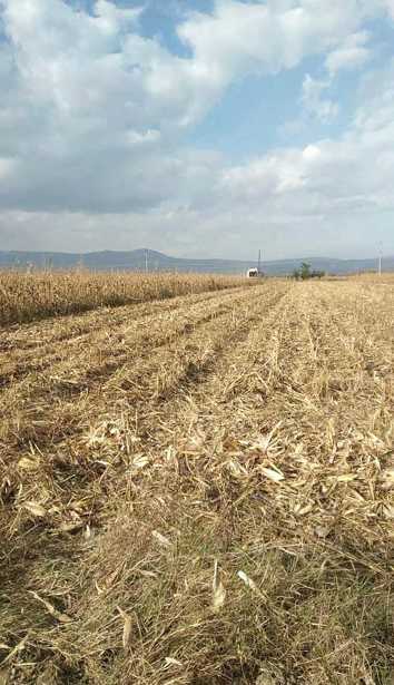 Land For Sale. Kakabeti
