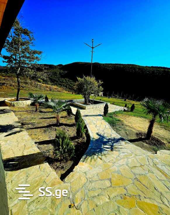 5 Room Summer Cottage Daily Rent. Gldani Village view 5
