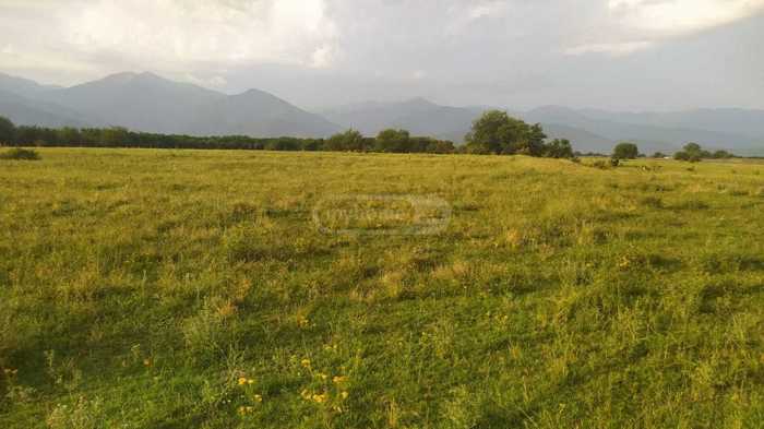 Land For Sale. Kvareli
