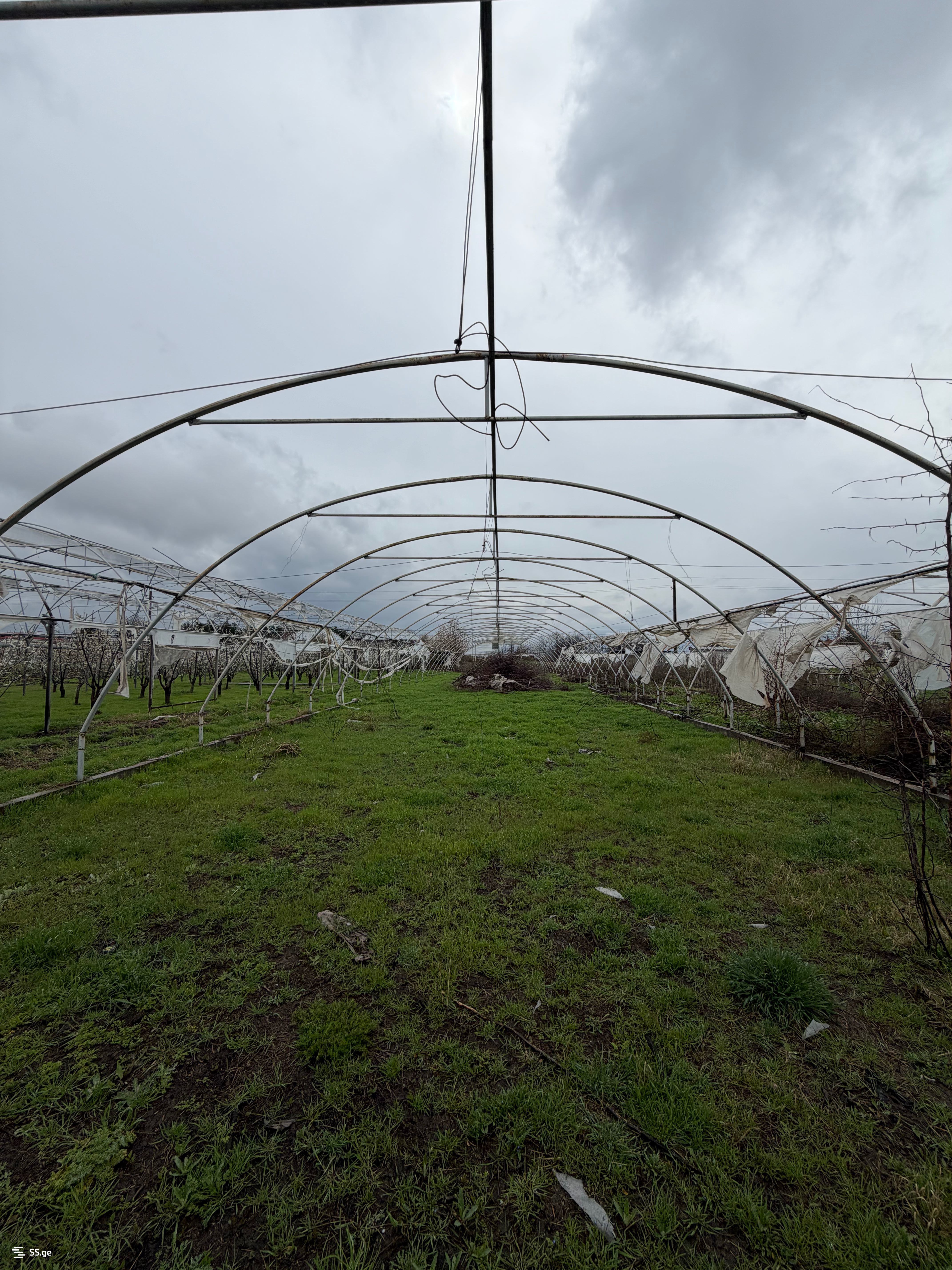 Продажа Земля / участок в Marneulshi view 22