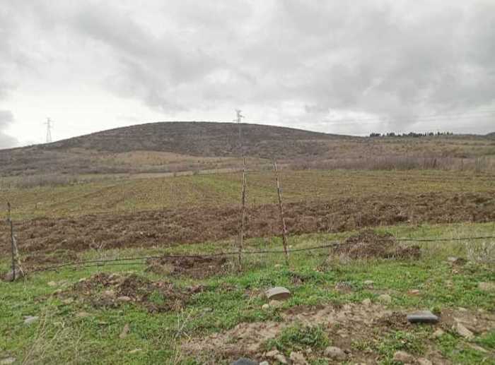 Land For Sale. Ereda