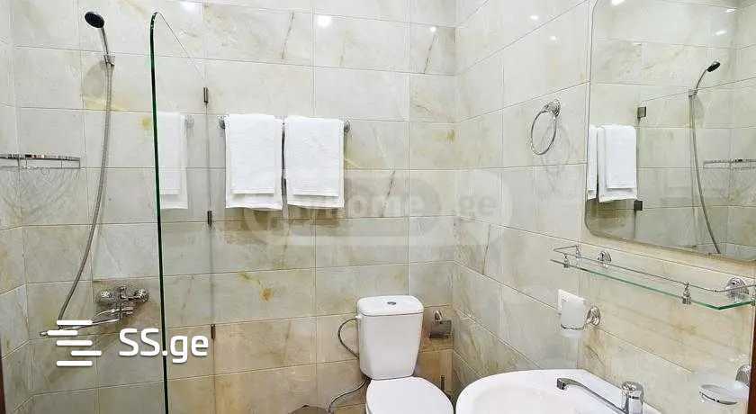Hotel For Rent. Vake view 4