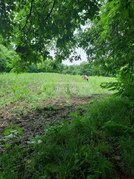 Land For Sale. Kvareli