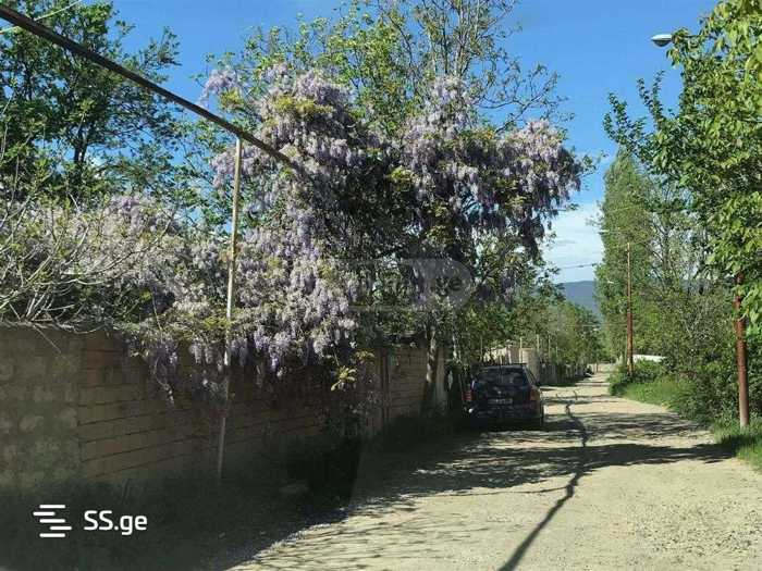 https://static.ss.ge/20260331/2_60e97a63-06d6-4202-85a4-e7ef7427a0f5_Thumb.jpg