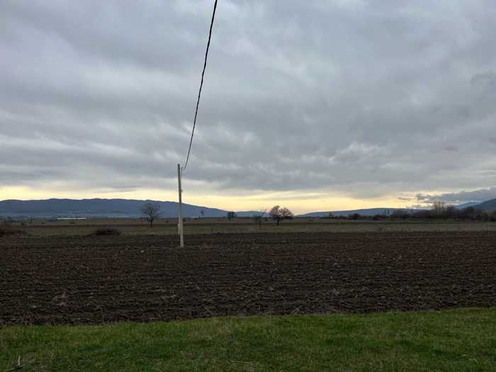 Land For Sale. Mukhrani