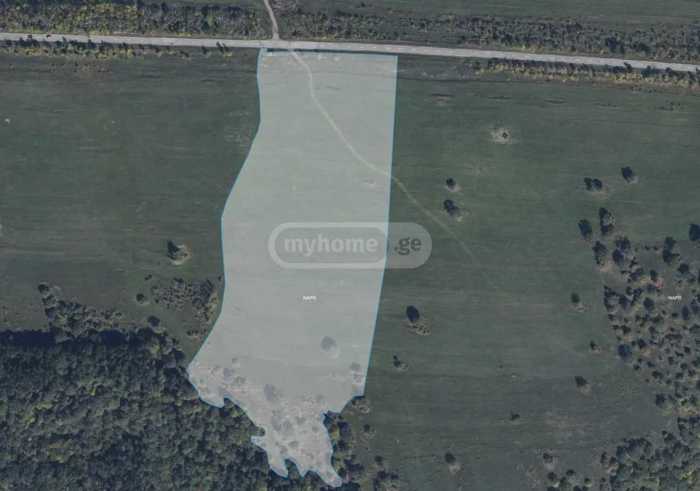 Land For Sale. Tetritskaro