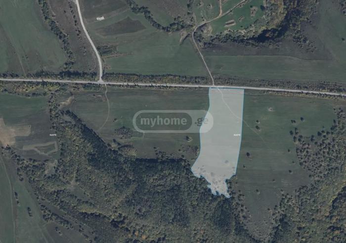 Land For Sale. Orbeti