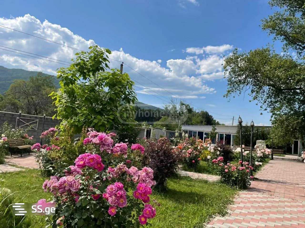 10 Room Hotel For Rent. Mtskheta, 4 of 4