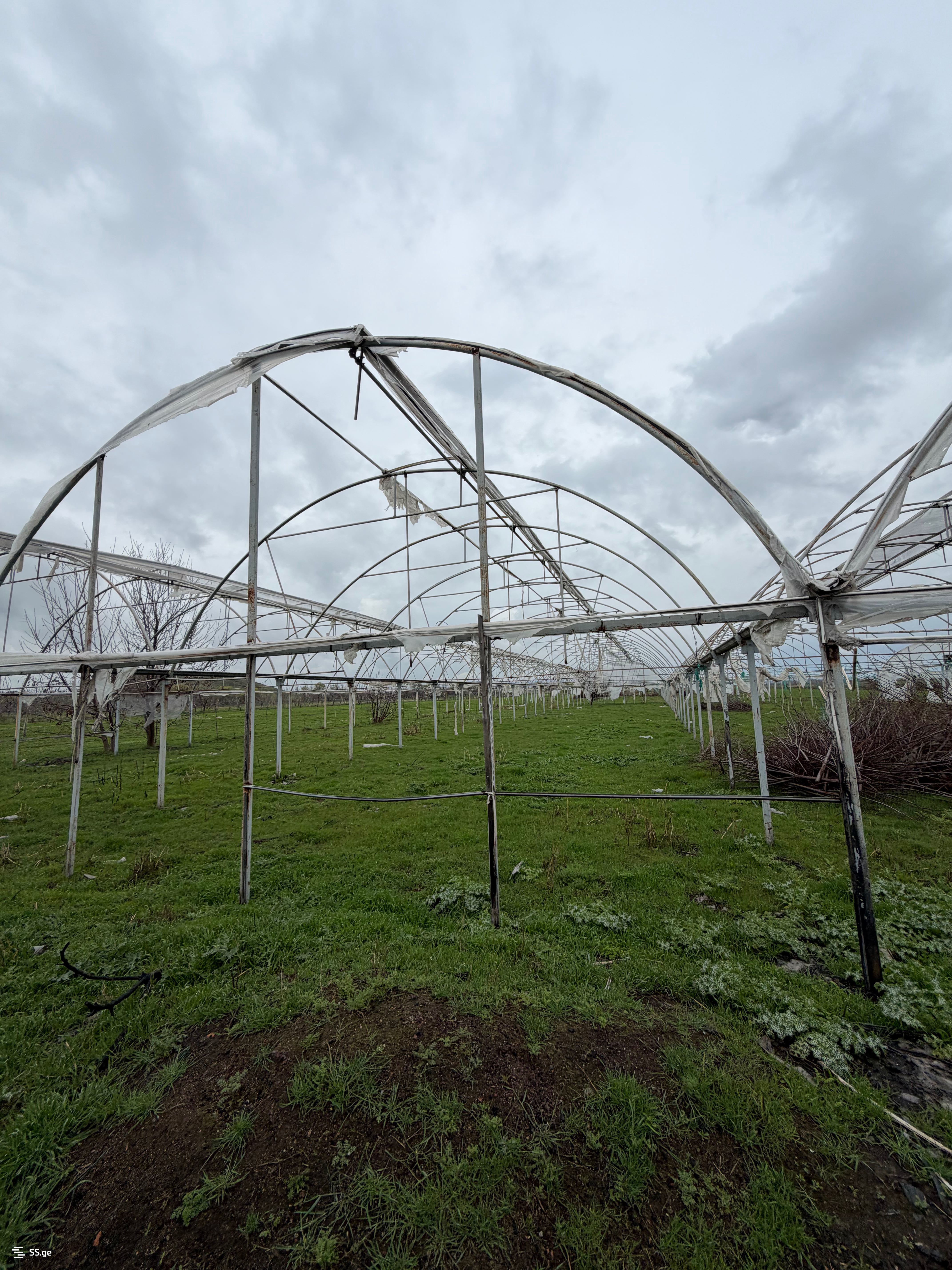 Продажа Земля / участок в Marneulshi view 23