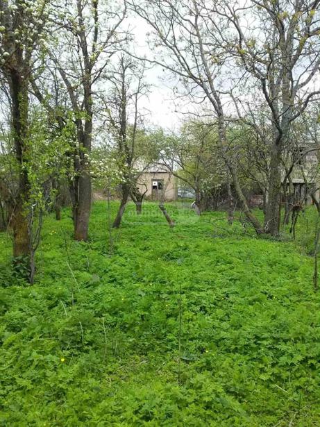 Land For Sale. Tetritskaro