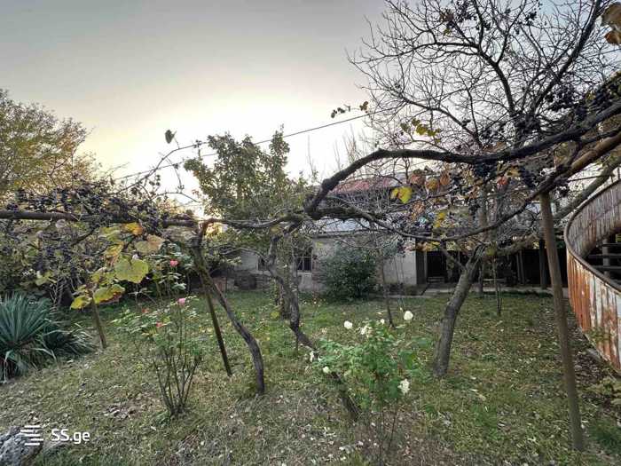 https://static.ss.ge/20260401/12_ec4255ff-2289-4e2a-a320-785c08452e64_Thumb.jpg