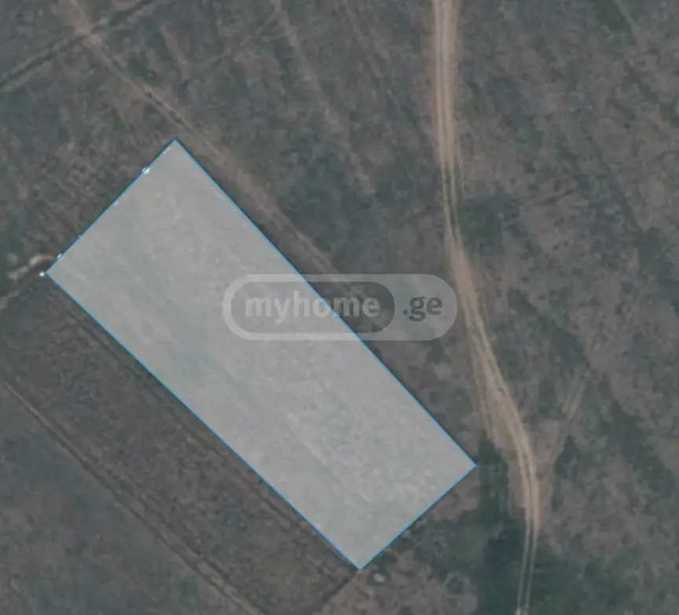 Land For Sale. Krtsanisi