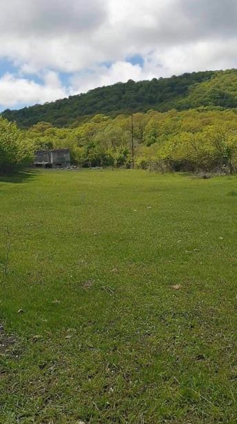Land For Sale. Sakramulo