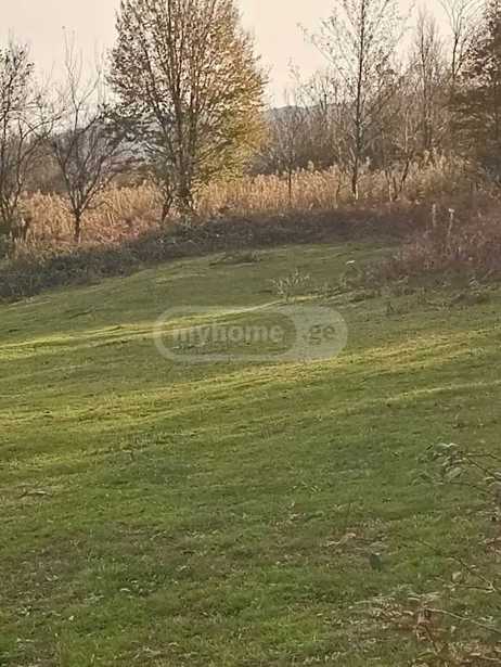 Land For Sale. Tkibuli