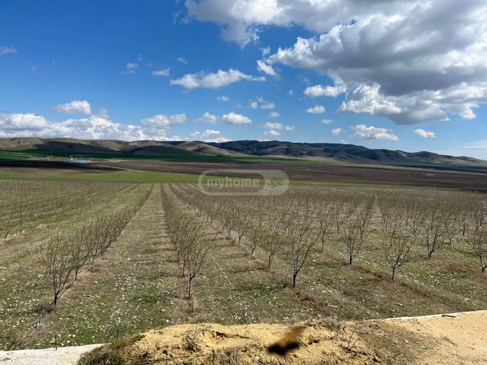 Land For Sale. Sartichala