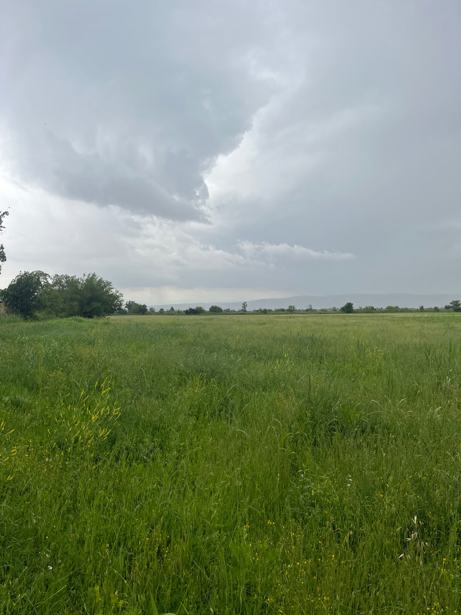 Land For Sale. agaraki