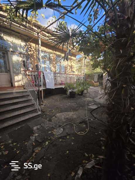 https://static.ss.ge/20260401/6_e5d1416a-78b2-4462-8127-9ca15a017496_Thumb.jpg
