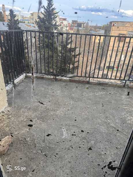 https://static.ss.ge/20260401/9_fc18b144-7cbf-49c8-a748-35c58b3003a7_Thumb.jpg