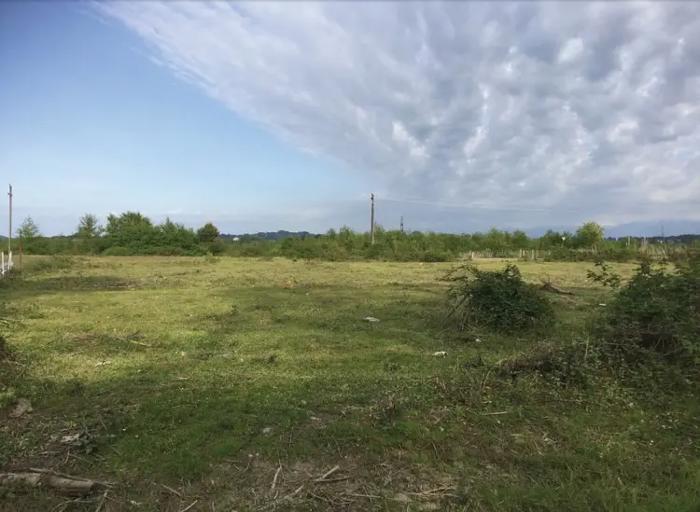Land For Sale. Shroma