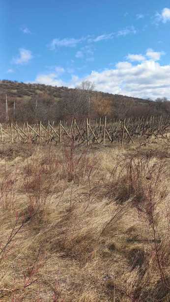 Land For Sale. Ksovrisi