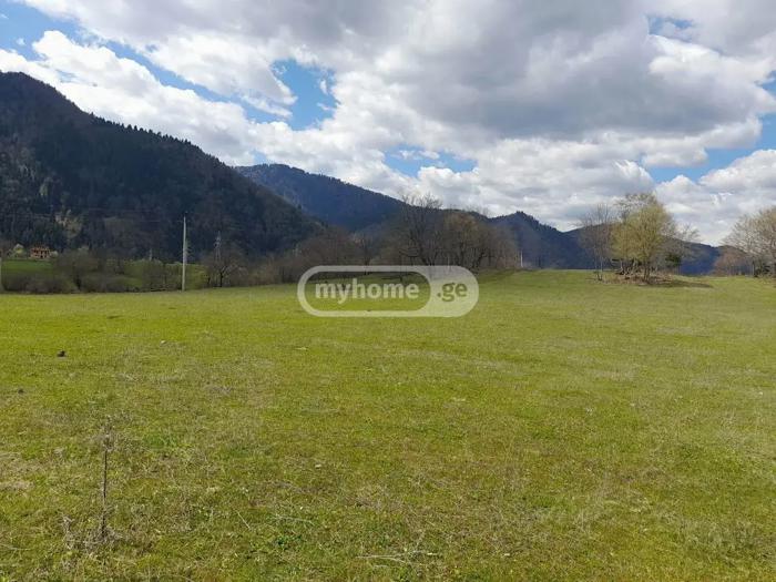 Land For Sale. Tba