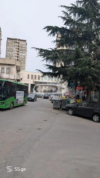 https://static.ss.ge/20260402/11_fc47a85f-e58e-4e01-a418-a4345a3bcc61_Thumb.jpg