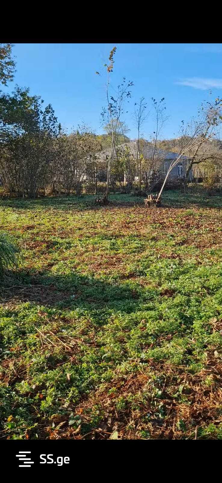 Land For Sale. Kobuleti view 3
