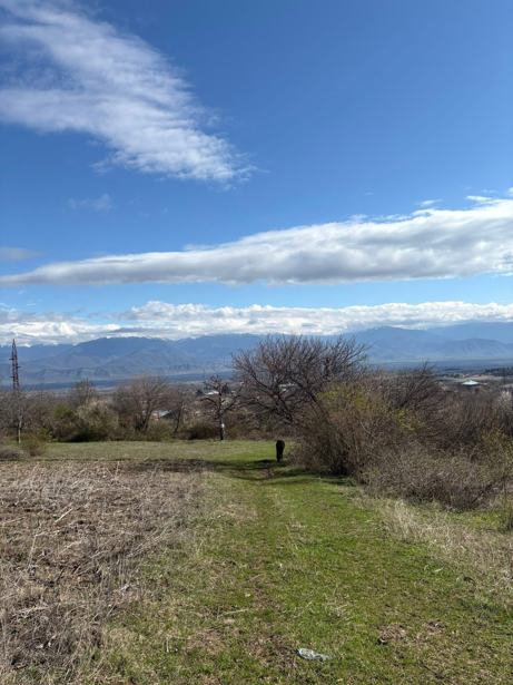 Land For Sale. Kisiskhevi
