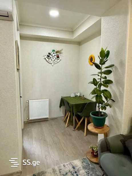 https://static.ss.ge/20260402/14_f3211b5b-1766-4aa7-a39f-018cb93c7fa2_Thumb.jpg