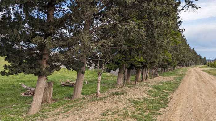 Land For Sale. Nasaguri