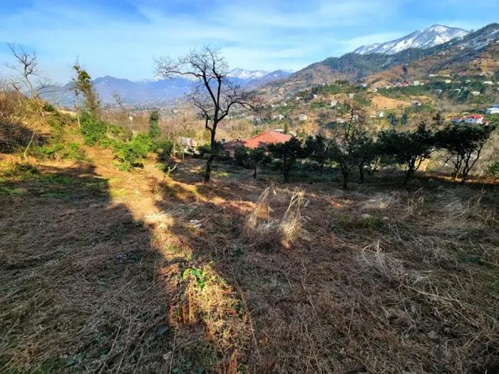 Land For Sale. Sakhalvasho