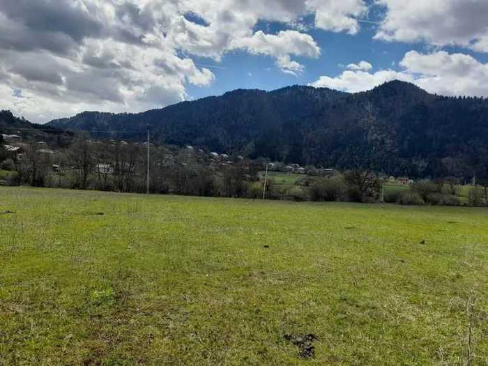 Land For Sale. Tba