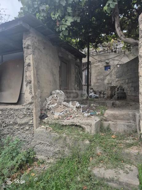 https://static.ss.ge/20260402/17_d248d1ee-c6ce-4d92-9235-51fb08e8da6c_Thumb.jpg