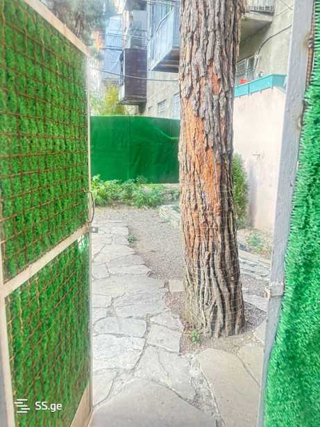 https://static.ss.ge/20260402/18_f5883bf5-f33b-479d-99fa-86c4911bc2d4_Thumb.jpg