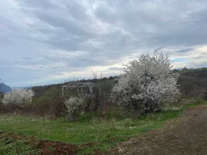 Land For Sale. Orbeti