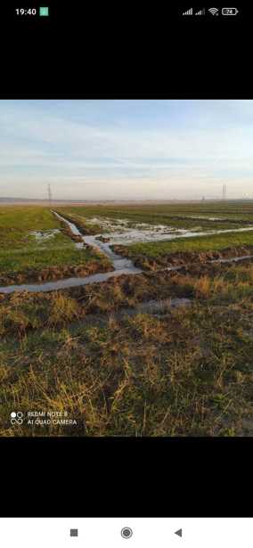 Land For Sale. Marneuli