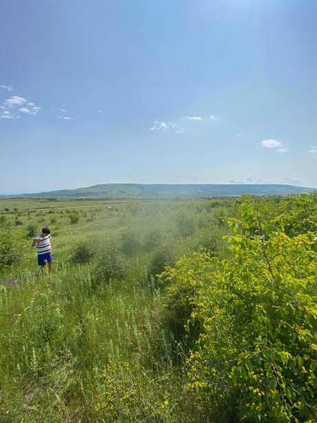 Land For Sale. Norio