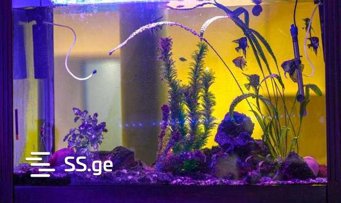 Hotel For Sale. Mtatsminda view 4