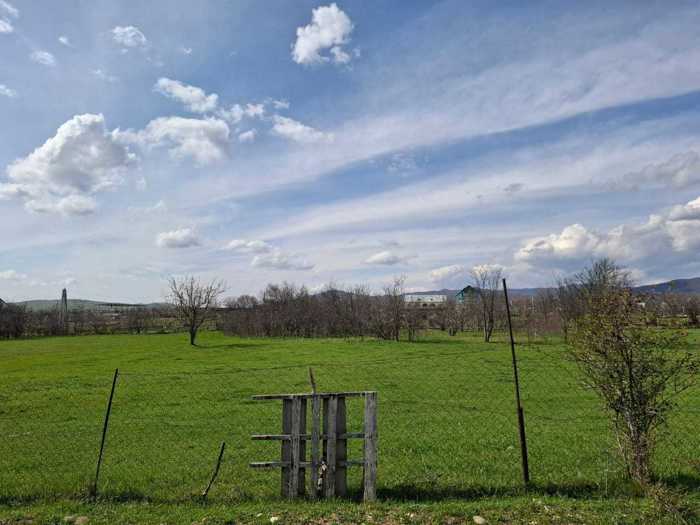 Land For Sale. Norio