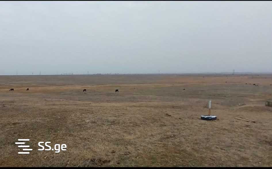 For Sale Sasoplo-Sameurneo Land Plot Gardabnis Munitsipalitetshi view 8