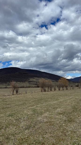 Land For Sale. Akhalsopeli