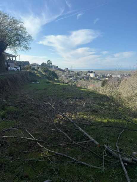 Land For Sale. Akhalsopeli