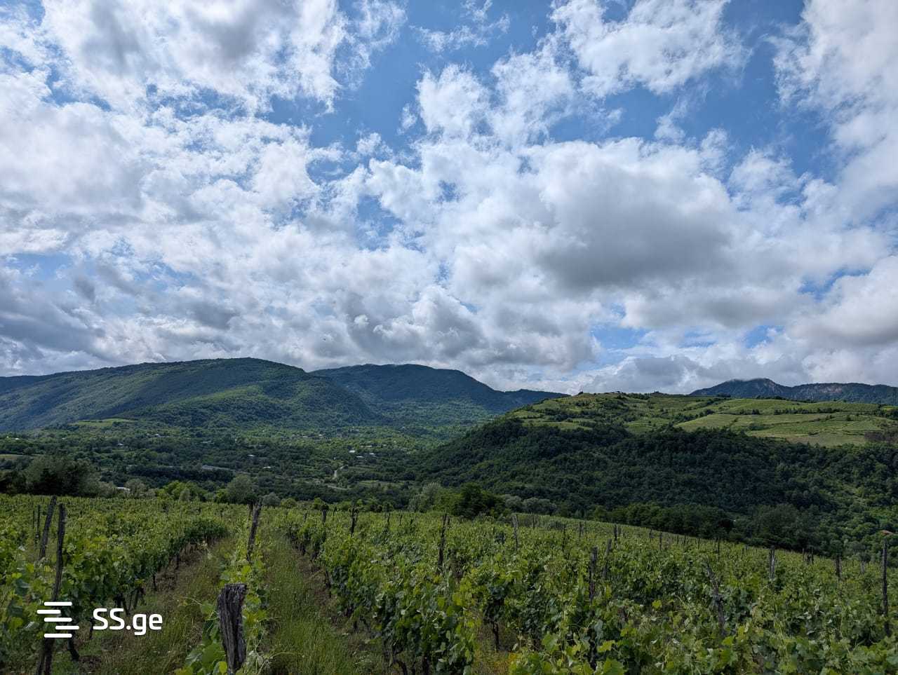 Продажа Земля в амбролаури view 4